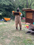 BEE FREQUENCY THERAPY 30Min. SESSION