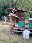 BEE FREQUENCY THERAPY 30Min. SESSION