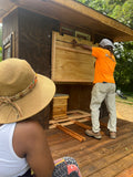 BEE FREQUENCY THERAPY 30Min. SESSION