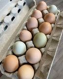 Workshop: Intro to Backyard Chicken Keeping
